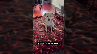 На самом деле Мэдди имеет в виду следующее&hellip;