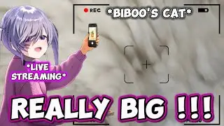 Biboo Takes a Photo of Her Sleeping Cat while She's Streaming. Almost 1 Year Old ! [ Hololive EN ]