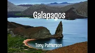 Galapagos   Tony Patterson