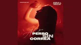 PERRO SIN CORREA