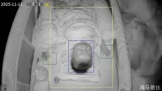 Infant startled awake by loud snore in Guangdong, China