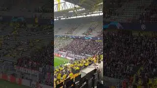 The atmosphere at Signal Iduna Park is electric ahead of the Champions League semi final clash betwe