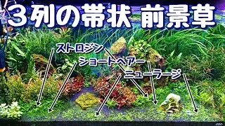 ３列の帯状前景草！【Nature＋Dutch】Aquarium 【ADAｷｭｰﾌﾞｶﾞｰﾃﾞﾝ90series】