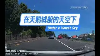 什么是新西兰的蓝？
