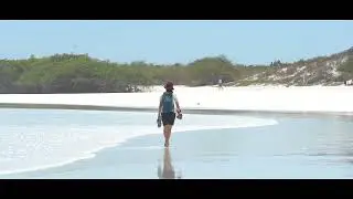 Tortuga Bay &ndash; Galapagos Islands