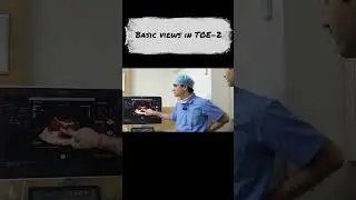 Basic views in transesophageal #echocardiography -2. #doctor