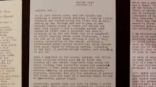 Sylvia Plath&rsquo;s love letters to Ted Hughes up for sale