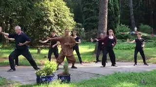 禅功柔拳 Shaolin soft fist tempers forces with mercy by Master Shi Heng Yi of Shaolin Temple Europe and