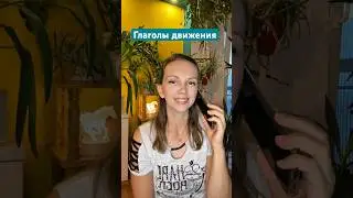 Глаголы движения в разговоре 💁🏻&zwj;♀️🐾 #serbian #srbija #srpski #verbs #conversations