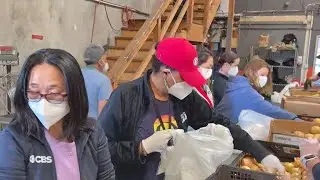 Volunteers power San Francisco Marin Food Bank in mission to end hunger