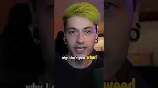 Why I don&rsquo;t grow weed