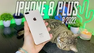 iPhone 8 Plus в 2022 &mdash; Лучший ЗА СВОИ ДЕНЬГИ!?