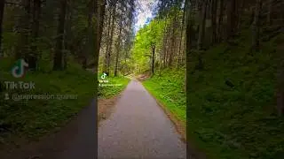 The Earth does not belong to us; we belong to the Earth. 🥰🥰#LifeVentures #shortsfeed #nature #music
