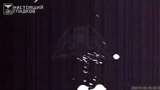 Footage of the combat operations of the mobile anti-drone units of the Russian National Guard