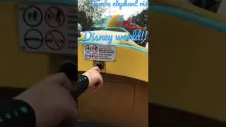 Dumbo elephant ride!!