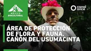 México biocultural - Área de protección de flora y fauna. Cañón del Usumacinta