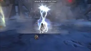 Crusader Awakened skills  (95 CAP)