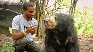 Saving the Dancing Bears | India