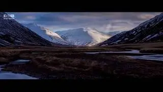 Le Monde des Ames - Sijjin et Illiyin