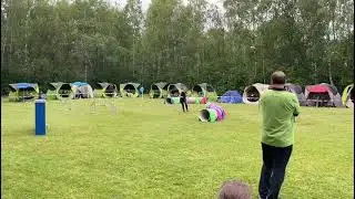 Agility Turnier A1 Monika Fellner & Gorgo 2020