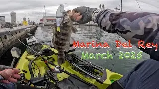 March 2025 - Marina Del Rey Kayak Fishing - Klash9 and Tiny Klash