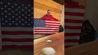 How Many Stars Are On the American Flag??