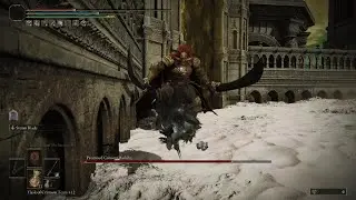 Storm Blade Build VS Promise Consort Radan