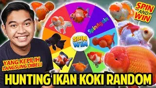 HUNTING IKAN KOKI LUCU RANDOM! BELI APAPUN GOLDFISH YANG TERPILIH! SPINNING WHEEL! BELI BANYAK IKAN!