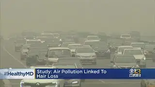 Healthwatch: Air Pollution Linked To Hair Loss