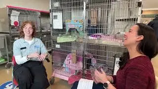 WoolWinders Gives Back - Dogs and Cats and Rabbits, Oh My!