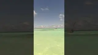 Windsurfing at Bonaire
