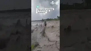 Veja o fen&ocirc;meno da Pororoca