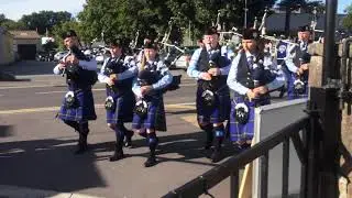 Puck Fair 2018