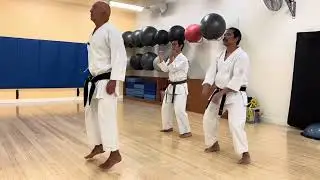 Karate Exercise #35: Fast Spin, Stable Landing