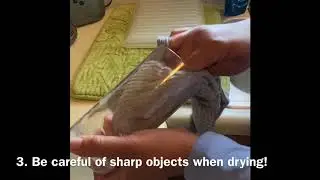 How To Dry Dishes By Hand