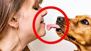 Many Experienced Dog Owners Don&rsquo;t Know This (But They Should...) 😯