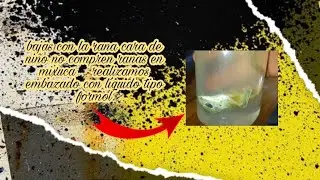 bajas con la rana cara de niño no compren ranas en mixuca. 🙅🙅