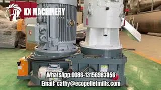 Biomass Waste Wood Pellet Machine Pellet Manufacturing Press Pellet Machine for Rice Straw