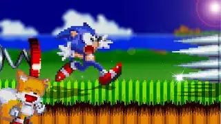 hedgehog abuse
