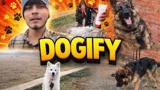 German Shepherd & Indian Spitz Puppy Fun 🐶 | Bathing + Ball Games