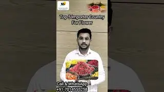 Top Importer Countries for Flower #2023 #business #importbusiness #export #exportimportbusiness