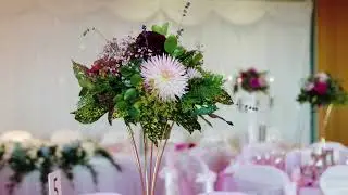 Hotel Minella Wedding Show Around