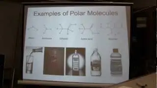 Dr. Frank V&aacute;zquez's Lecture: An Introduction to Lipids