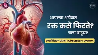 रक्ताभिसरण संस्था | Circulatory System | IICARE FOUNDATION