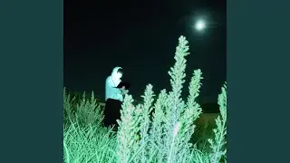 che te ne frega se per gli altri non sei normale (5AM)