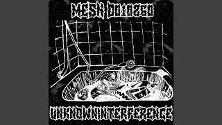 MESH_D010260 (SLXNDXR PROD.)