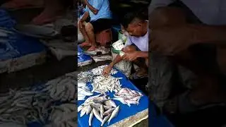 Assam fish market