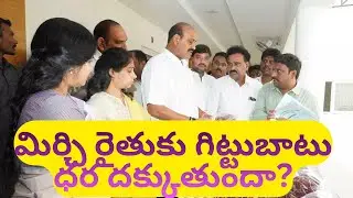 మిర్చి రైతుకు గిట్టుబాటు ధర దక్కుతుందా
