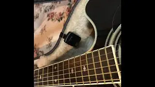 D'Addario Guitar Humidifier - Humidikit - Humiditrak & Humidipak Bundle - Automatic Guitar Hu Review