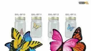 BasicXL Butterfly In A Jar BXL-BF serie